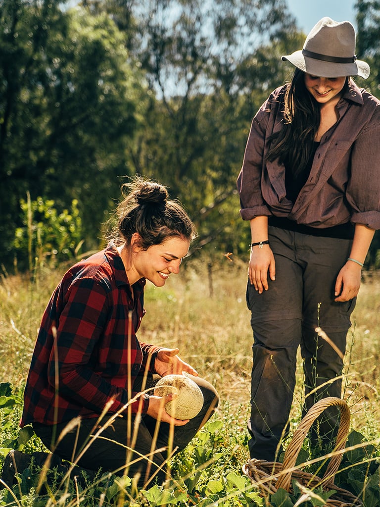 Teilnehmende bei der Arbeit auf einer Farm in Australien