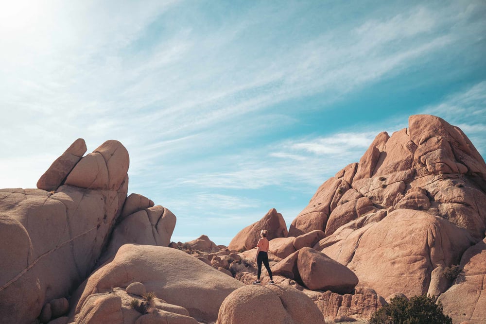 Entdecke den Joshua Tree National Park mit AIFS