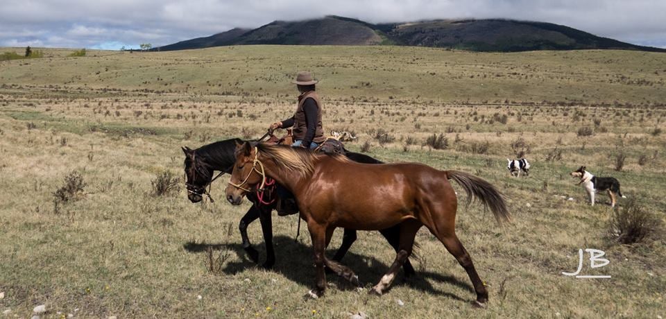 Eine Person auf einem Pferd, die ein anderes Pferd führt in Kanada.