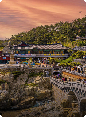 Abenteuer in Südkorea: AIFS Adventure Trips führen zu beeindruckenden Tempeln und kulturellen Schätzen.