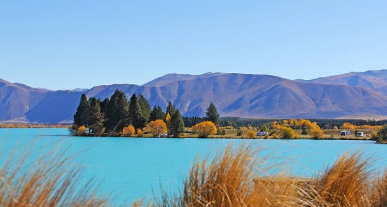Au Pair in Neuseeland mit AIFS