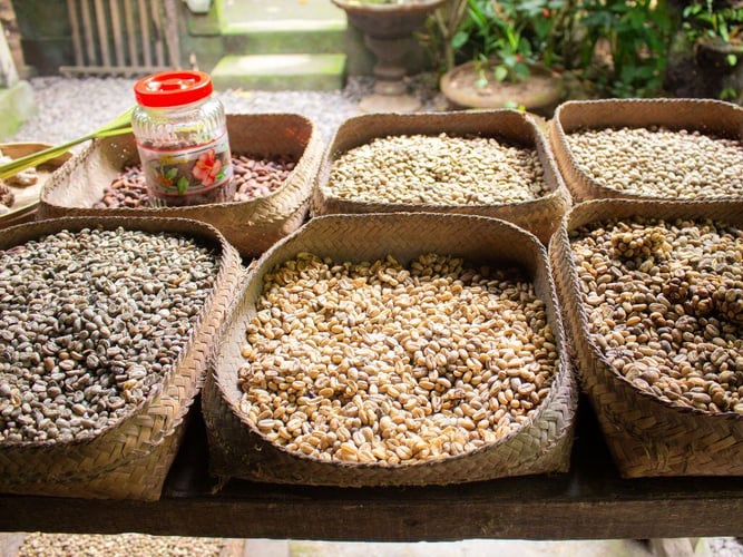 aifs-bali-adventure-week_hand made Coffee-7