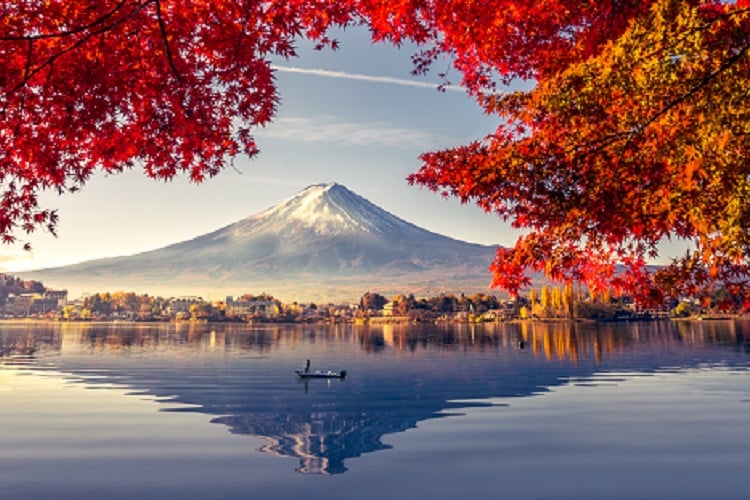 AIFS Programme in Japan