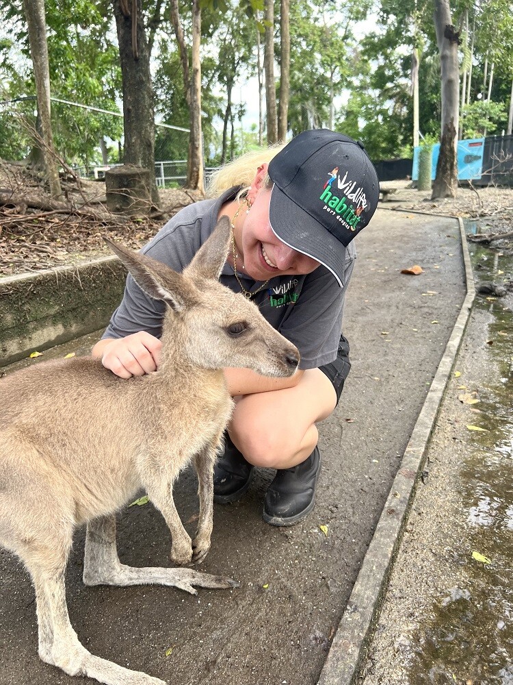 aifs-freiwilligenarbeit-australien-wildlife-habitat-ugc-lea-känguru
