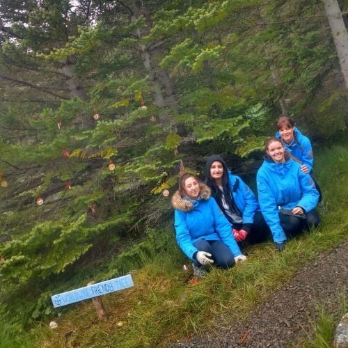 Volunteers beim Baum beim Freiwilligenprojekt Forest and Beach in Island