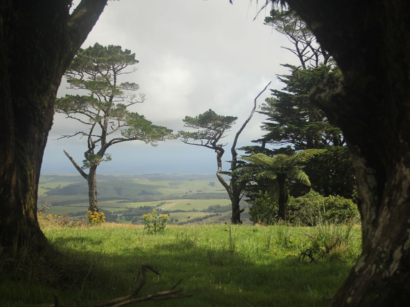 Natur beim Freiwilligenprojekt in Neuseeland