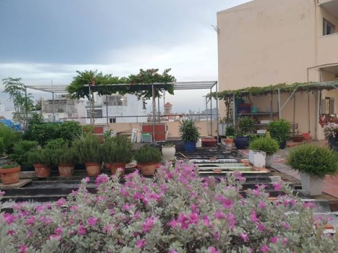 Garten der Unterkunft bei der Freiwilligenarbeit in Vietnam