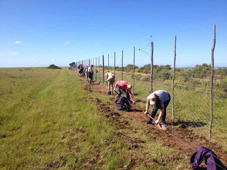 Erhalte die Natur im Freiwilligenprojekt in Südafrika