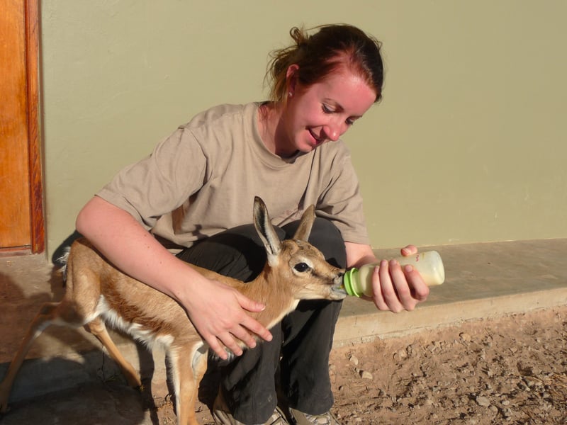 Deine Aufgaben im Freiwilligenprojekt in Südafrika : Tiere füttern