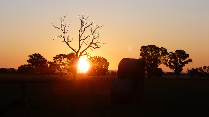 Sonnenuntergang auf einer Ranch in Australien