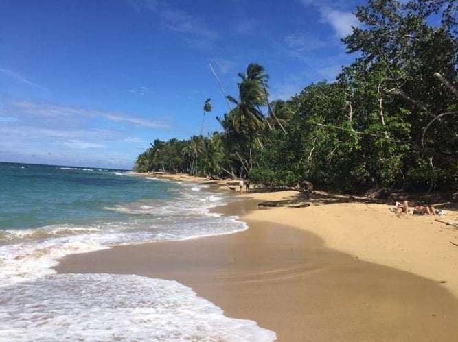 aifs-studieren-im-ausland-costa-rica-erfahrungen-strand