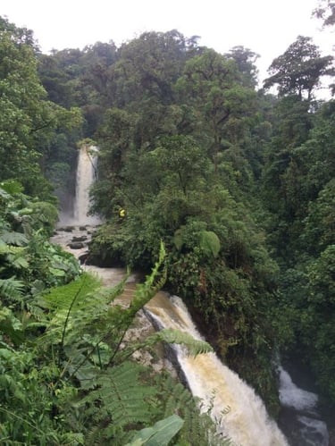 aifs-studieren-im-ausland-costa-rica-erfahrungen