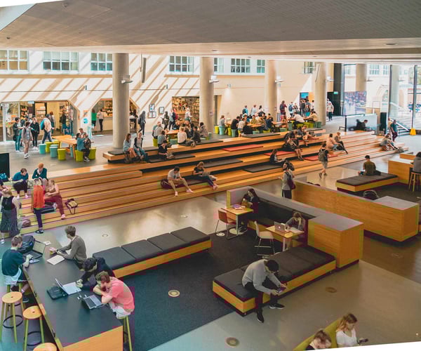 AIFS-Studieren-im-Ausland-Neuseeland-Victoria-University-Personen-Studierende-lernen-bibliothek