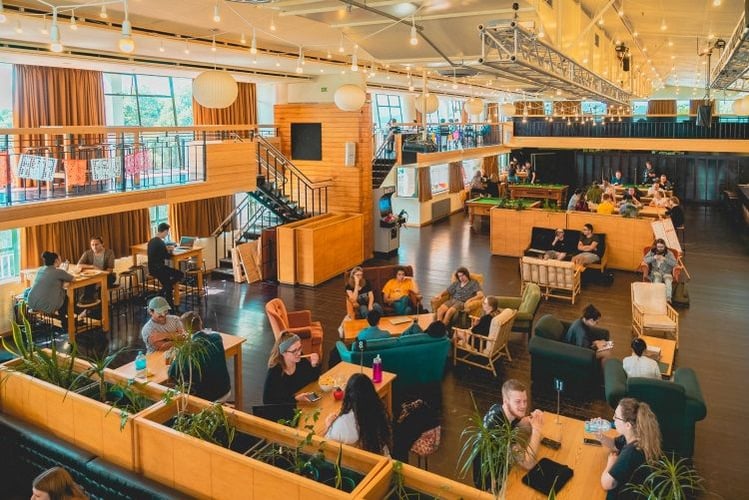 aifs-studieren-im-ausland-neuseeland-Wellington-cafe