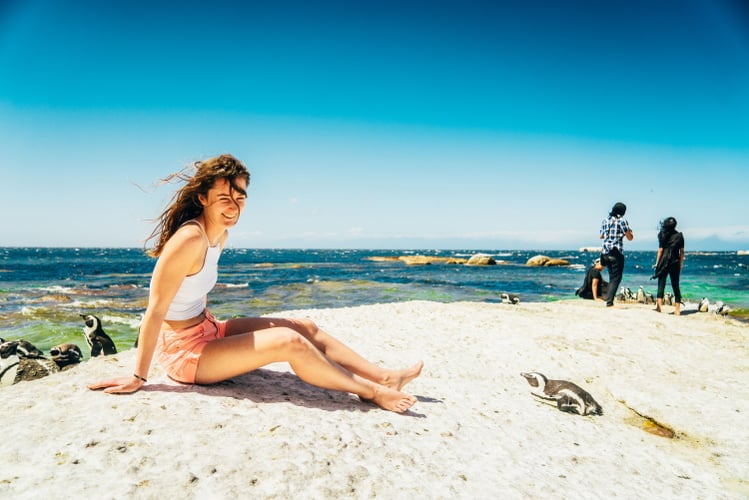 Ausflug zum Strand mit Pinguinen in Südafrika bei der Sprachreise mit AIFS