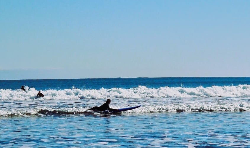 aifs-surfcamp-neuseeland-raglan-erfahrungen-ugc-franziskah-@fancyfranzi2-surfen-meer