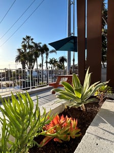 aifs-surfcamp-usa-unterkunft-aussicht