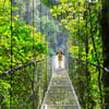 aifs-costa-rica-crawl-lines-200x200