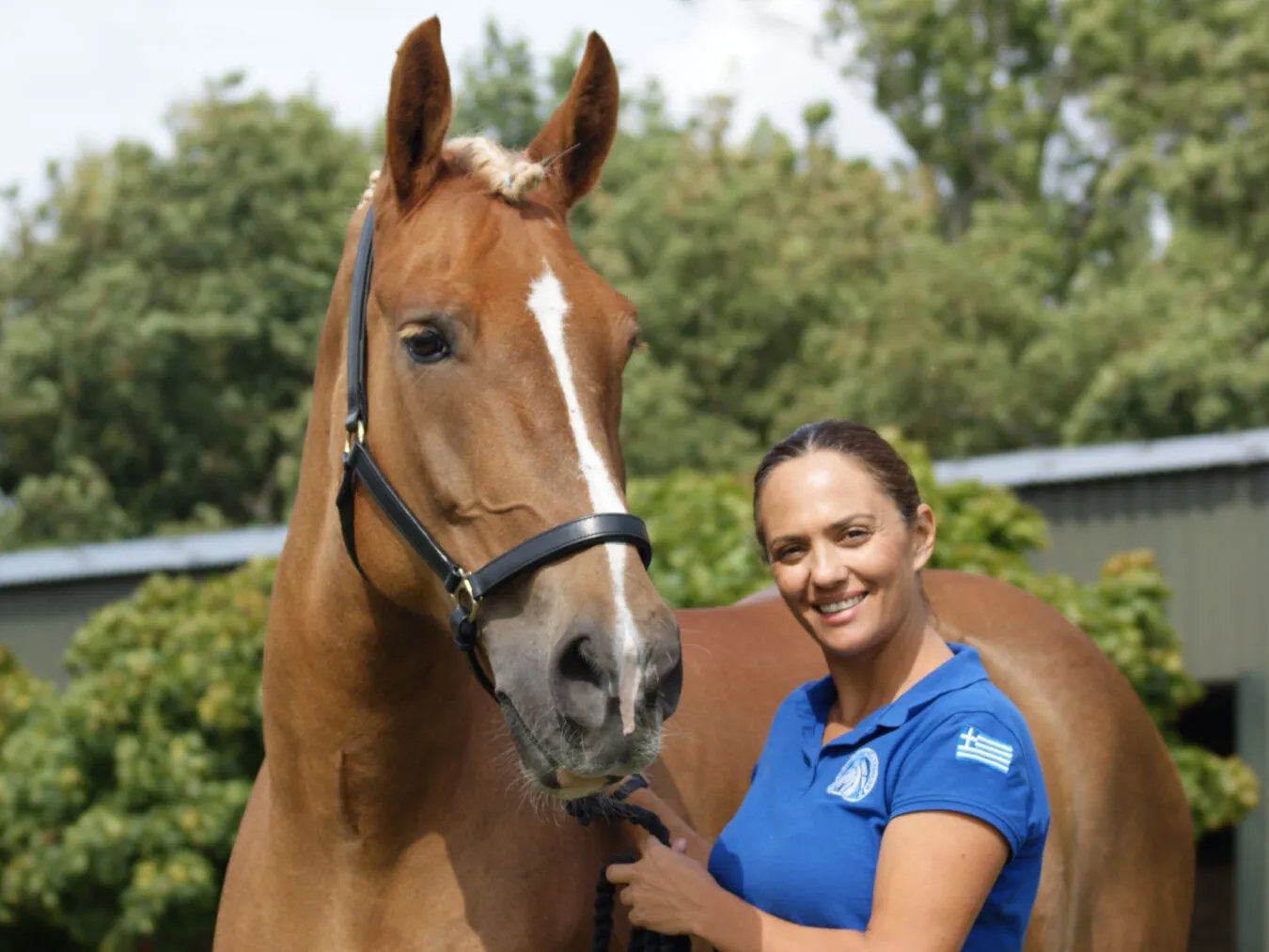 AIFS-Freiwilligenarbeit-Griechenland-Kreta-Projects-Horse-Riding-Academy9