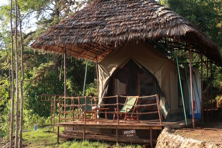 Camp Veranda