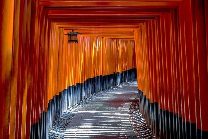 Die Torii Wege, die zum Schrein Fushimi Inari-Taisha führen