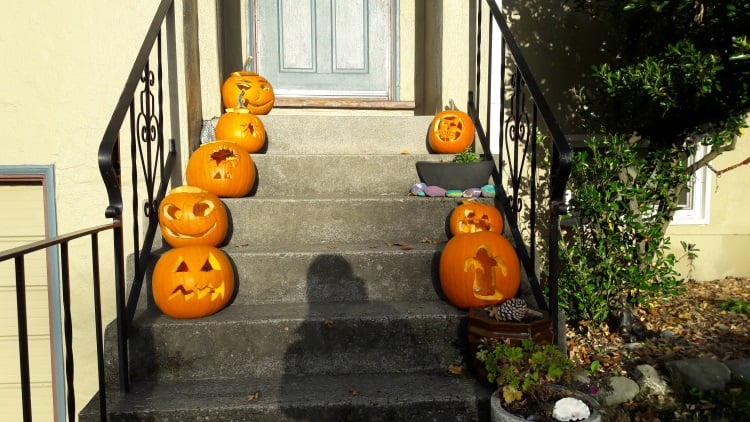 Halloween Kürbisse