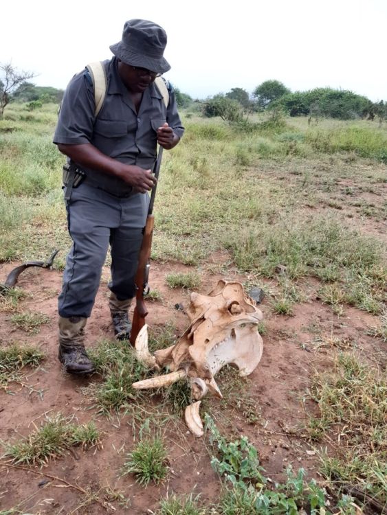 Ranger im Kruger Nationalpark