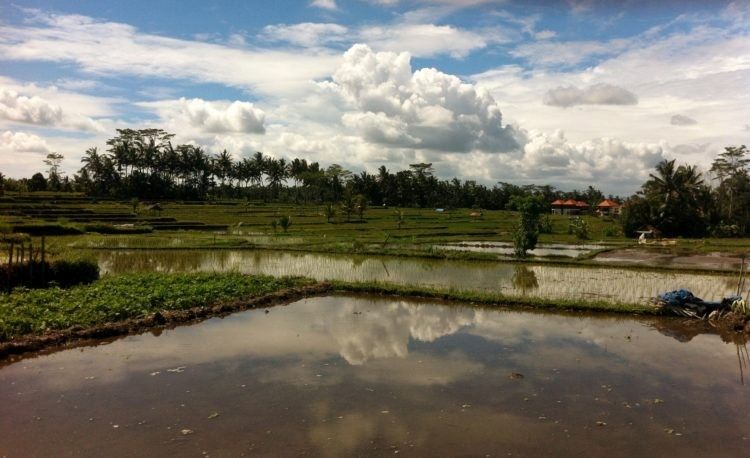 Bali