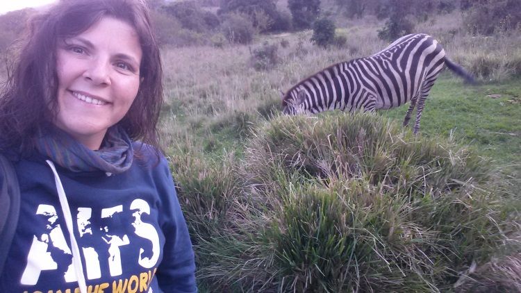 Safari_Zebra