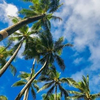 hawaii-332x332