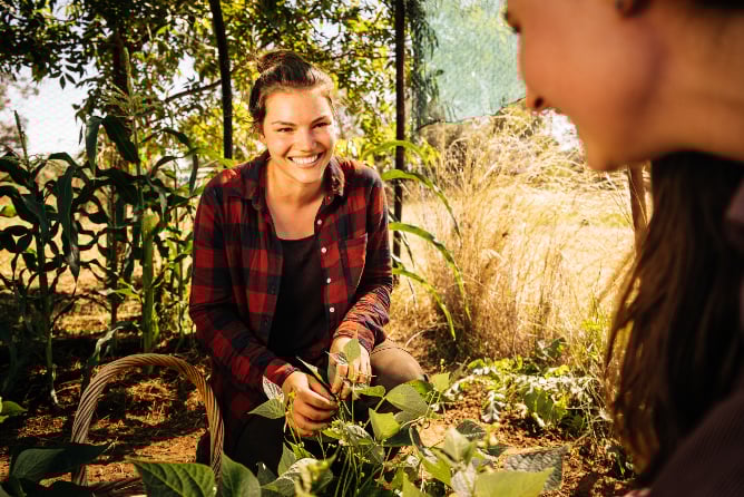 Gartenarbeit während des Farmwork-Programms in Australien