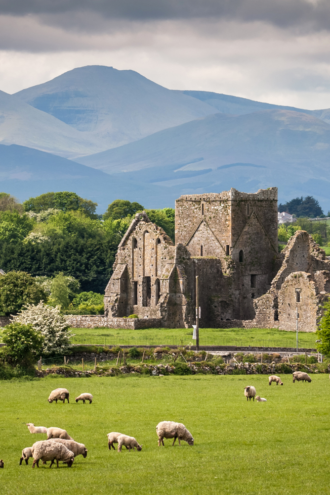 Freiwilligenprojekt in Irland mit AIFS
