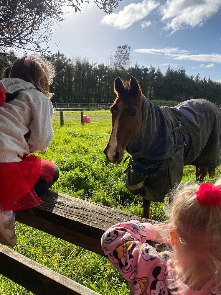 AIFS-ugc-au-pair-neuseeland-Pferde-Kinder-Gras-Bäume-lillyc@lilly.czeiler