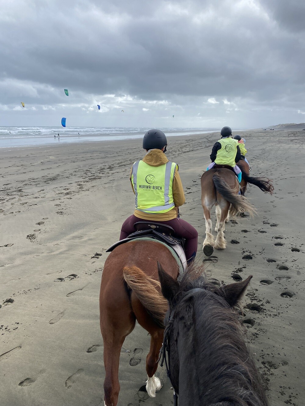 aifs-au-pair-neuseeland-ugc-lillyc-@lilly.czeiler-erfahrungen-pferde-strand