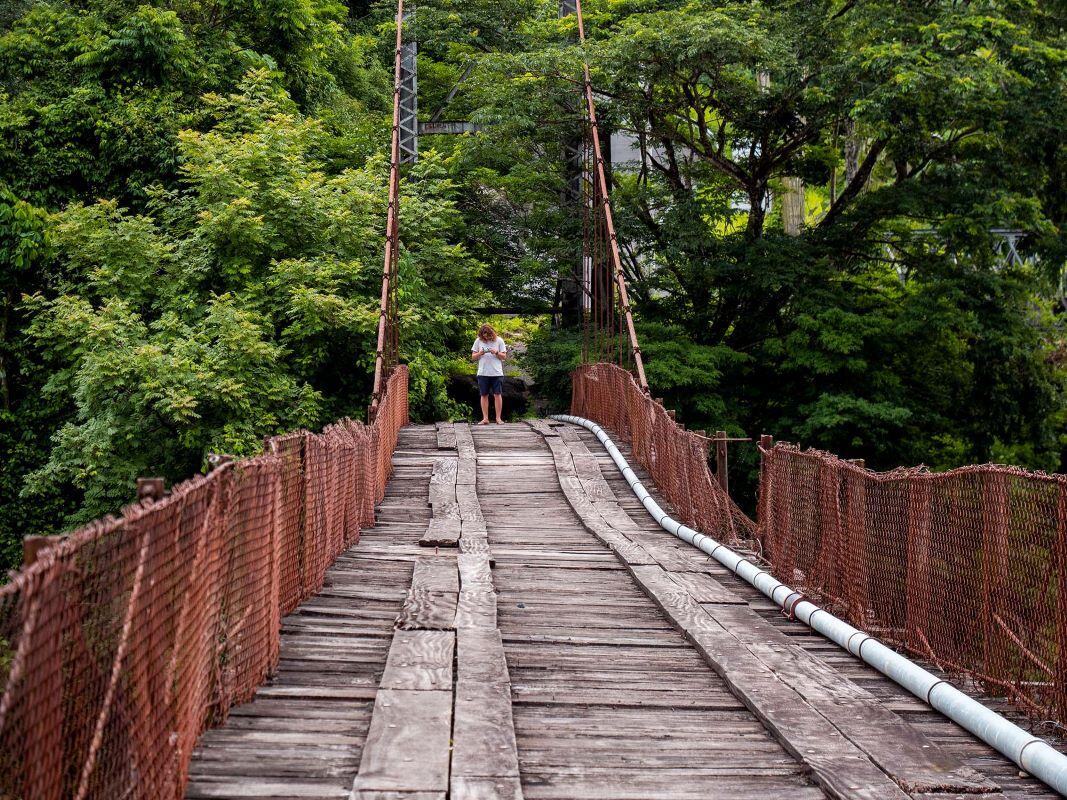 AIFS-Farmwork-Costa Rica-FARMING OLD BRIDGE