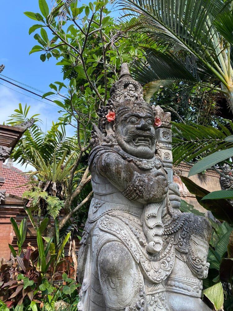 ugc-Freiwilligenarbeit-bali-Saral-palme-statue-@Sara.lrz