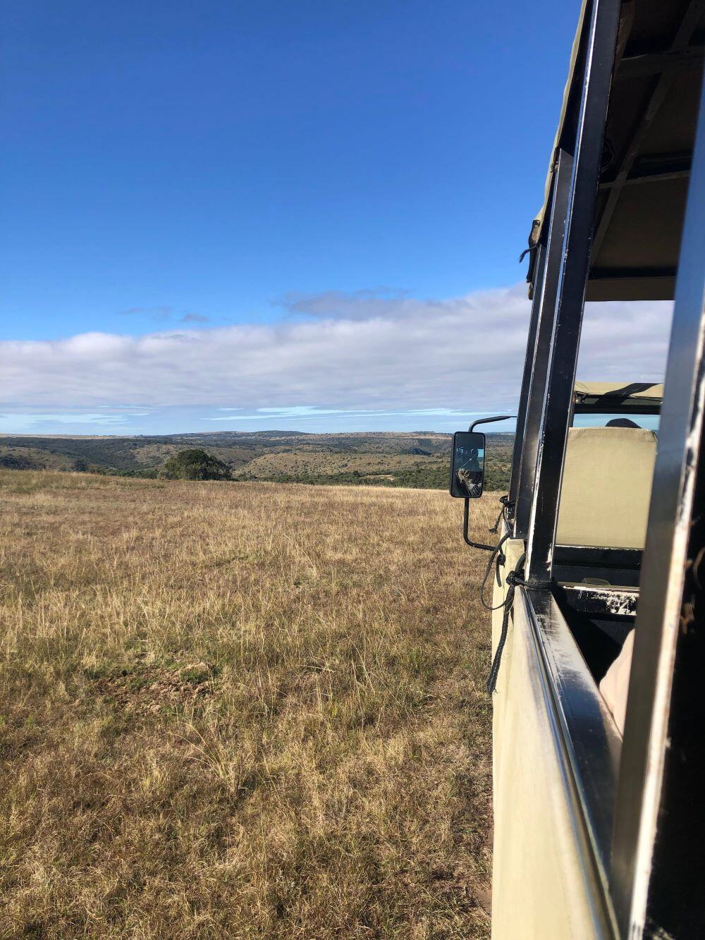 ugc-Freiwilligenarbeit-Big 5 Wildlife Reservat-suedafrika-tobiass-felder