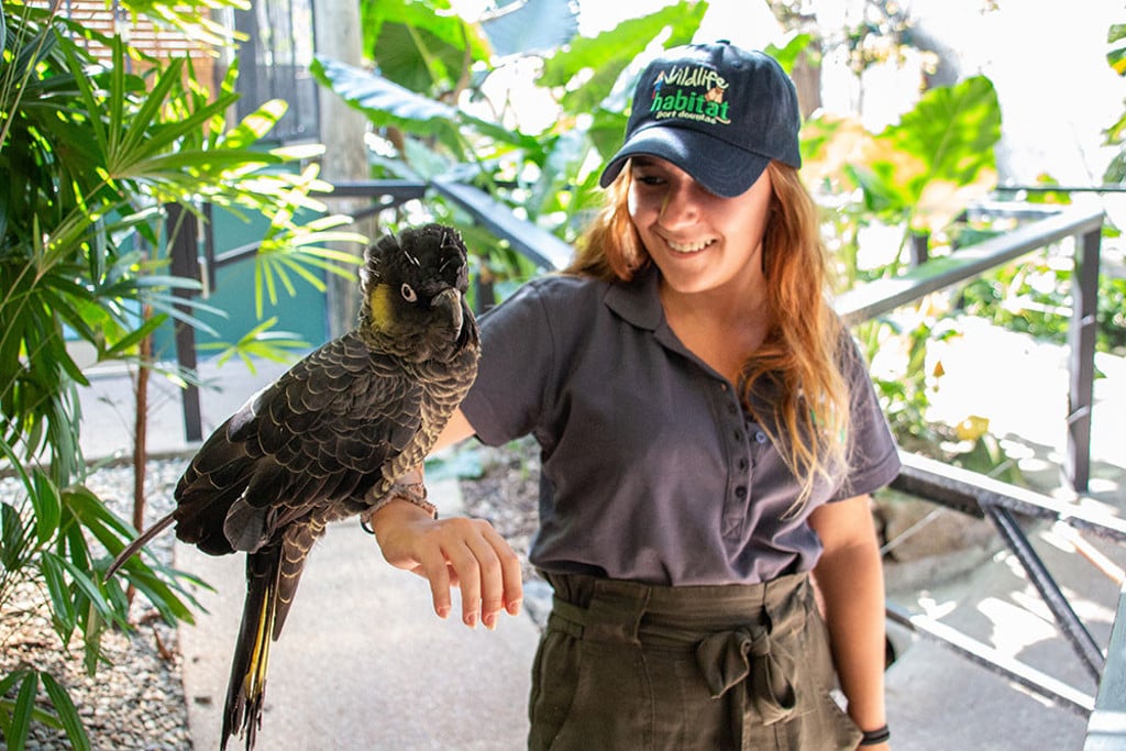 aifs-freiwilligenarbeit-australien-wildlife-habitat-person-vogel-quadratisch-1024x1024