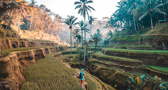 Studieren im Ausland in Bali mit AIFS
