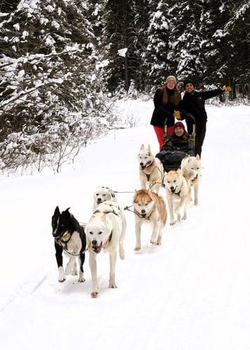 Au Pair in Kanada mit AIFS