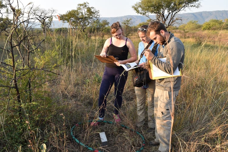 Naturuntersuchungen beim Advernture Trip mit AIFS in Eswatini