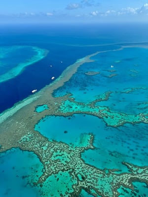 aifs-adventure-trips-australien-east-coast-adventure-ugc-miar-meer