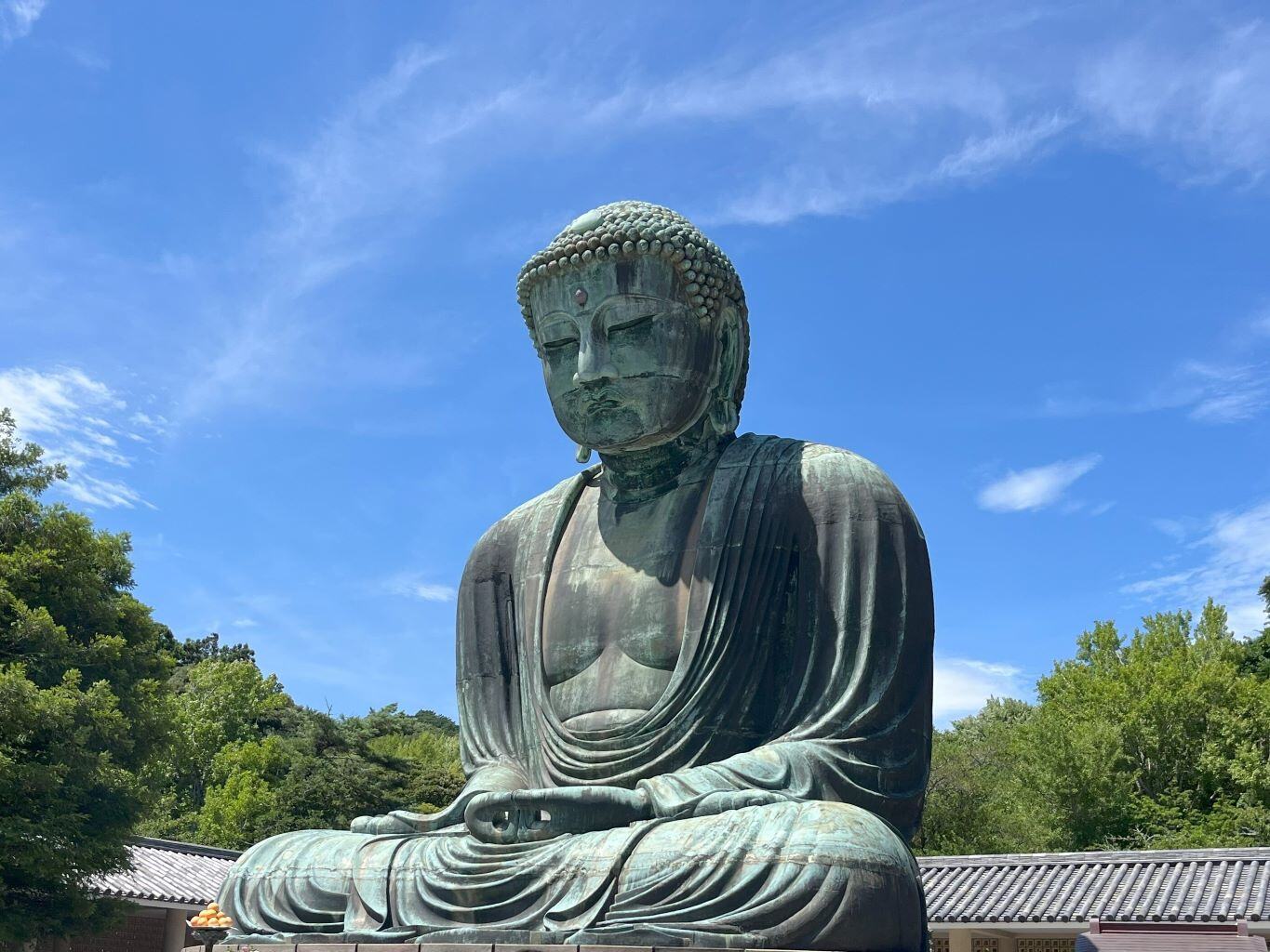 Clemens Erfahrungen beim Adventure Trips in Japan mit AIFS