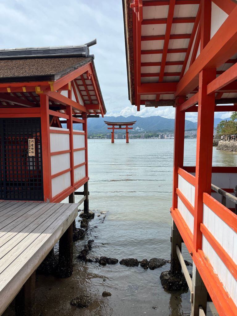 Erfahrungen Adventure Trips in Japan mit AIFS