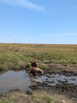 aifs-adventure-trips-northern-tanzania-explorer-ugc-verenam-loewen