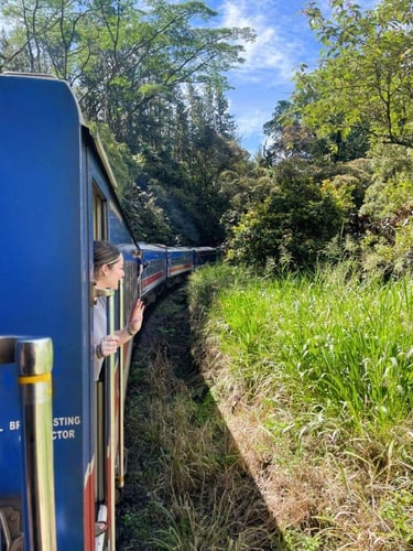 aifs-adventure-trips-sri-lanka-partnerfotos-person-zug-1
