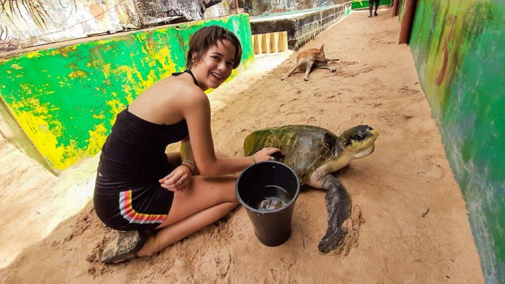 aifs-adventure-trips-sri-lanka-turtle-week-person-schildkröte