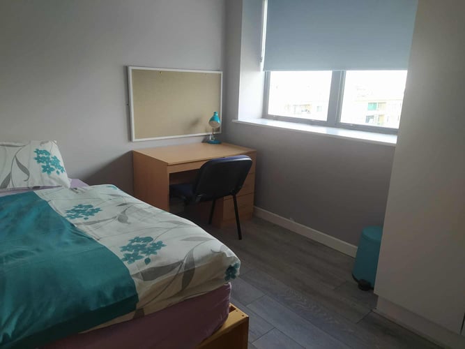 aifs-auslandspraktikum-irland-schlafzimmer-residence-standard-partnerfotos