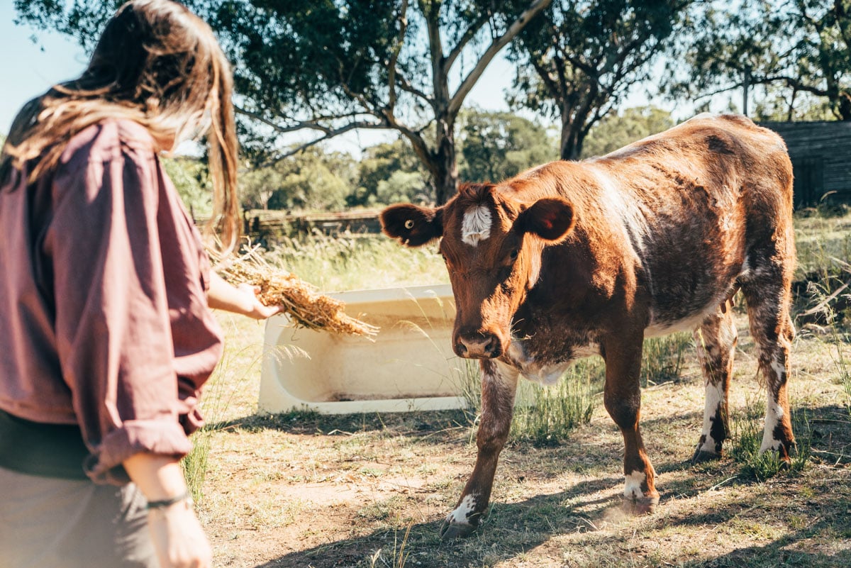 aifs-australien-adventure-trip-farm-person-tier