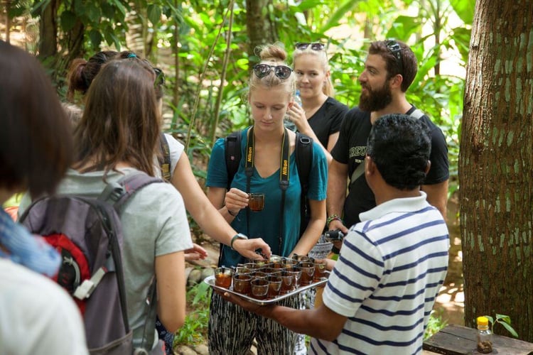 aifs-freiwilligenarbeit-adventure-trips-sri-lanka-culture-week-partnerfotos-personen-tee